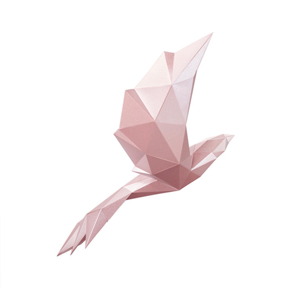 Bird - Paper interior