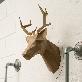 full image stag head figuration