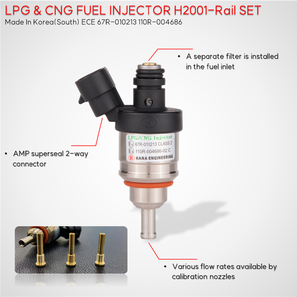 LPG CNG injector for passenger car (H2001)