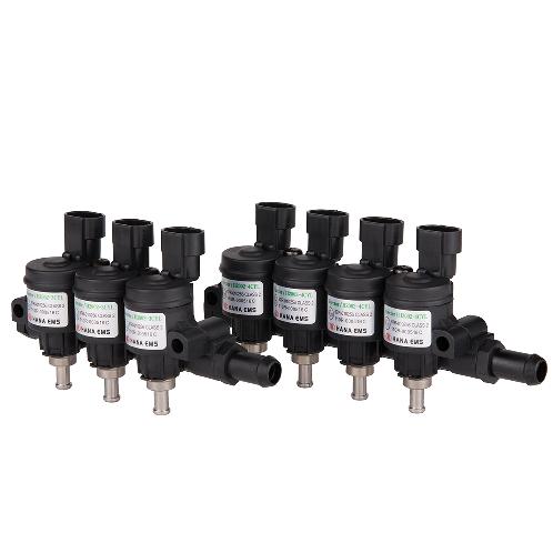 LPG CNG injector for passenger car (H2002)