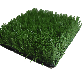 detail image1 Artificial turf (55 mm)
