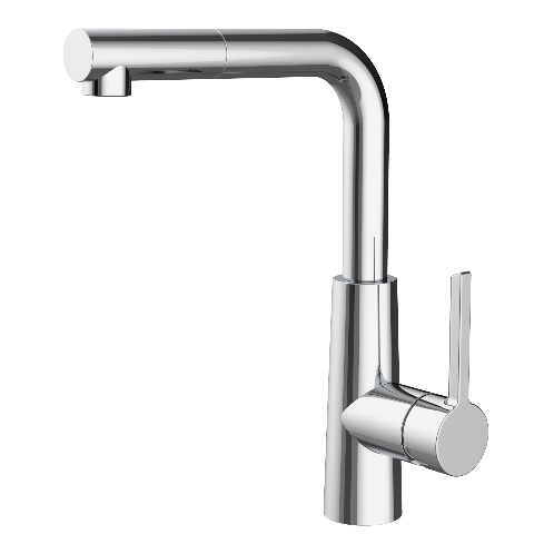 Switch shower head