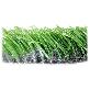 full image Artificial grass 20mm 1 roll