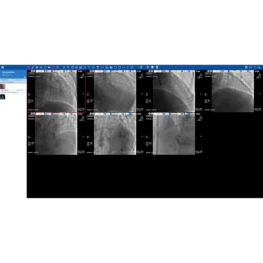 [SmartCareworks Inc] GoWIX