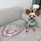 detail image5 Dog Rainbow 6 in 1 Rope Dog Leash How to use hands-free walking with both hands