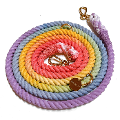 Dog Rainbow 6 in 1 Rope Dog Leash How to use hands-free walking with both hands