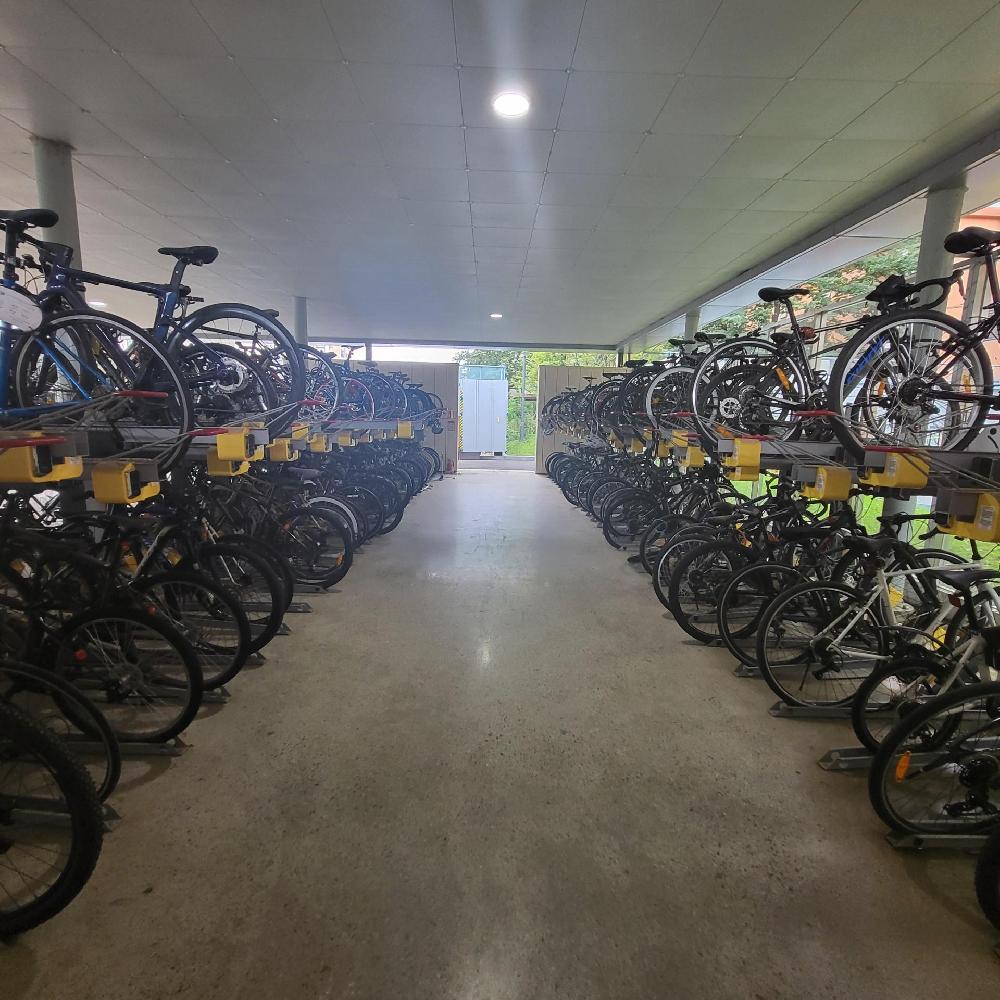 Bicycle theft (loss) protection device