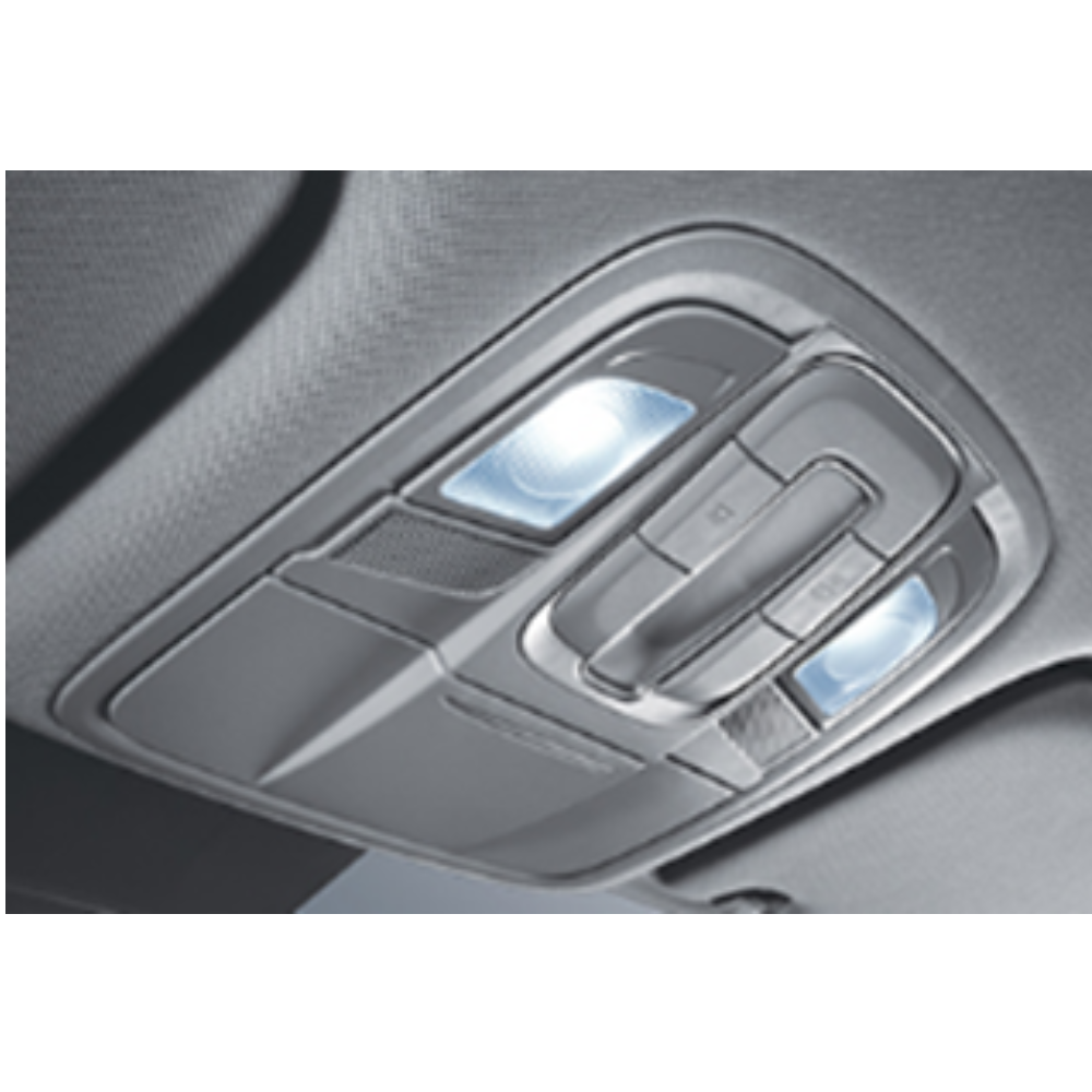 LED lighting (Over Head Console lamp, Room Lamp, Vanity lamp, Luggage lamp)