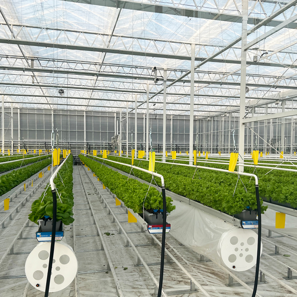 ACX Layflat Hose (PVC)