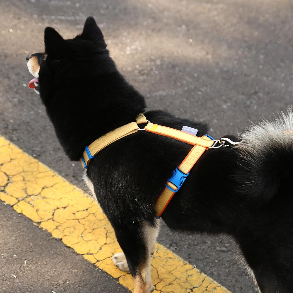 Fit Band Harness